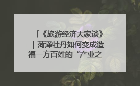 《旅游经济大家谈》｜菏泽牡丹如何变成造福一方百姓的“产业之花”“富民之花”？
