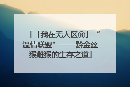 「我在无人区⑧」“温情联盟”——黔金丝猴雌猴的生存之道