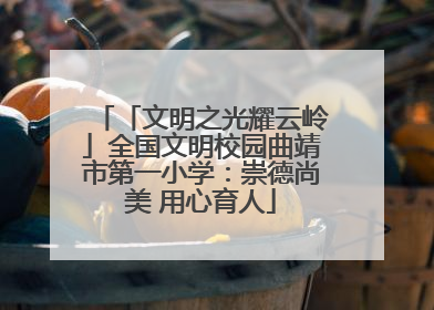 「文明之光耀云岭」全国文明校园曲靖市第一小学：崇德尚美 用心育人