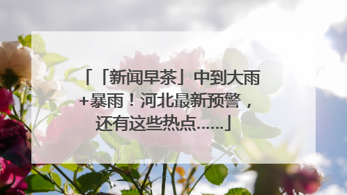 「新闻早茶」中到大雨+暴雨！河北最新预警，还有这些热点……