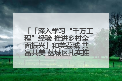 「深入学习“千万工程”经验 推进乡村全面振兴」和美荔城 共富共美 荔城区扎实推进乡村振兴工作