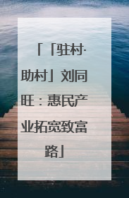 「驻村·助村」刘同旺：惠民产业拓宽致富路