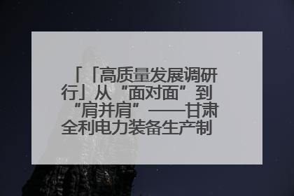 「高质量发展调研行」从“面对面”到“肩并肩”——甘肃全利电力装备生产制造项目一线见闻