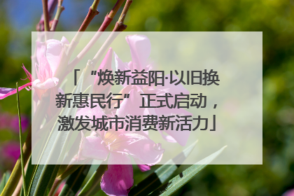 “焕新益阳·以旧换新惠民行”正式启动，激发城市消费新活力