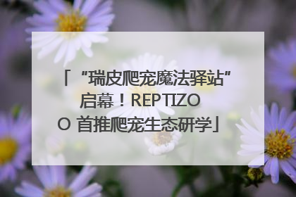 “瑞皮爬宠魔法驿站” 启幕！REPTIZOO 首推爬宠生态研学