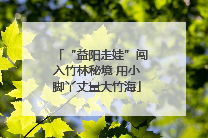 “益阳走娃”闯入竹林秘境 用小脚丫丈量大竹海