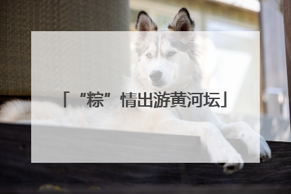“粽”情出游黄河坛