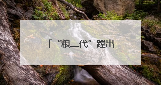 “粮二代”蹚出湖南大米新路子