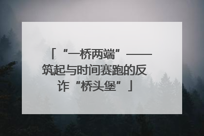 “一桥两端”——筑起与时间赛跑的反诈“桥头堡”