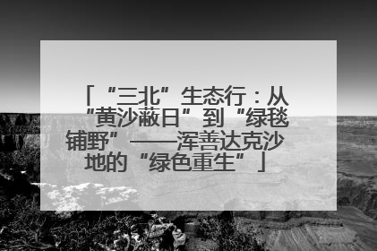 “三北”生态行：从“黄沙蔽日”到“绿毯铺野”——浑善达克沙地的“绿色重生”