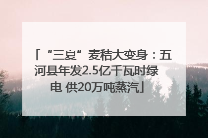 “三夏”麦秸大变身：五河县年发2.5亿千瓦时绿电 供20万吨蒸汽