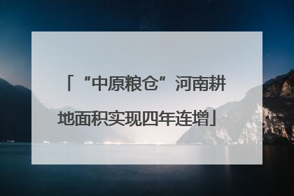 “中原粮仓”河南耕地面积实现四年连增