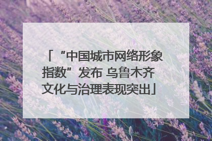 “中国城市网络形象指数”发布 乌鲁木齐文化与治理表现突出