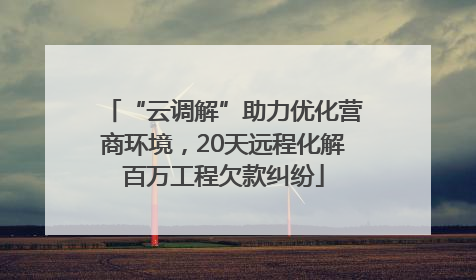 “云调解”助力优化营商环境，20天远程化解百万工程欠款纠纷