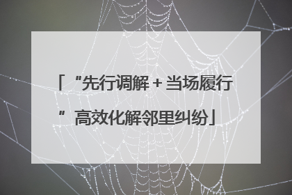 “先行调解＋当场履行”高效化解邻里纠纷