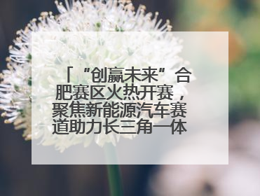 “创赢未来”合肥赛区火热开赛，聚焦新能源汽车赛道助力长三角一体化发展