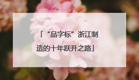 “品字标”浙江制造的十年跃升之路