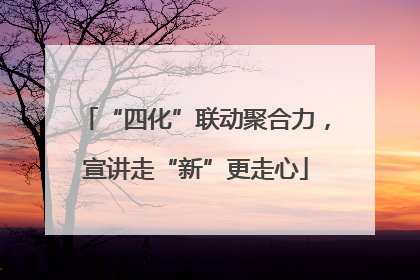 “四化”联动聚合力，宣讲走“新”更走心