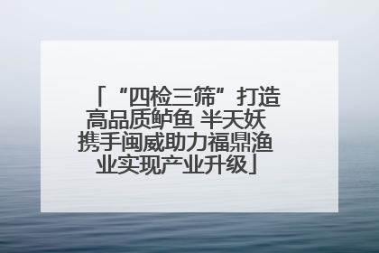 “四检三筛”打造高品质鲈鱼 半天妖携手闽威助力福鼎渔业实现产业升级