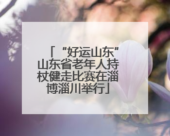 “好运山东”山东省老年人持杖健走比赛在淄博淄川举行