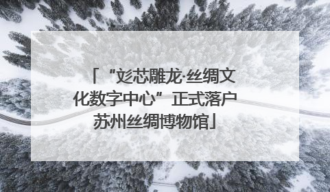 “彣芯雕龙·丝绸文化数字中心”正式落户苏州丝绸博物馆