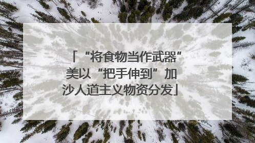 “将食物当作武器” 美以“把手伸到”加沙人道主义物资分发
