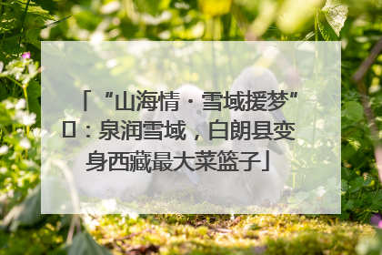 “山海情・雪域援梦”⑪：泉润雪域，白朗县变身西藏最大菜篮子