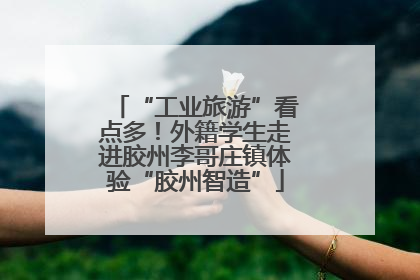 “工业旅游”看点多！外籍学生走进胶州李哥庄镇体验“胶州智造”