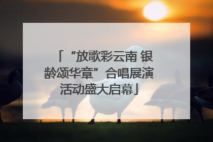 “放歌彩云南 银龄颂华章”合唱展演活动盛大启幕