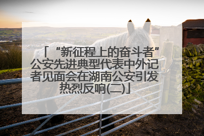 “新征程上的奋斗者”公安先进典型代表中外记者见面会在湖南公安引发热烈反响(二)