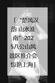 “楚风汉韵 山水淮南”2025八公山风景区推介会惊艳上海