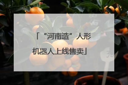 “河南造”人形机器人上线售卖