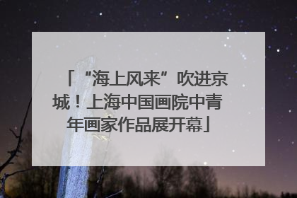 “海上风来”吹进京城！上海中国画院中青年画家作品展开幕