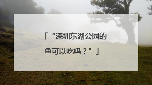 “深圳东湖公园的鱼可以吃吗？”