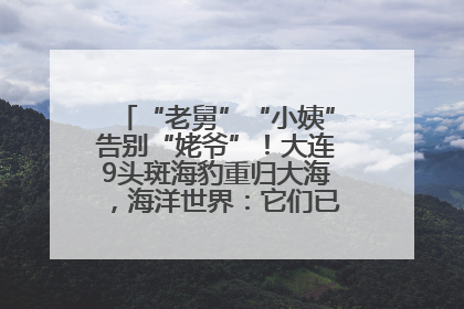 “老舅”“小姨”告别“姥爷”！大连9头斑海豹重归大海，海洋世界：它们已具备野外生存能力