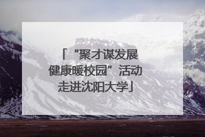 “聚才谋发展 健康暖校园”活动走进沈阳大学