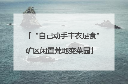 “自己动手丰衣足食”矿区闲置荒地变菜园
