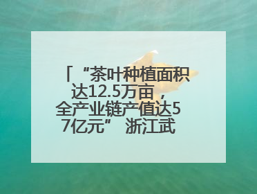 “茶叶种植面积达12.5万亩，全产业链产值达57亿元” 浙江武义茶产业全链发展“加速度”