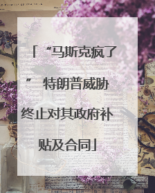 “马斯克疯了” 特朗普威胁终止对其政府补贴及合同