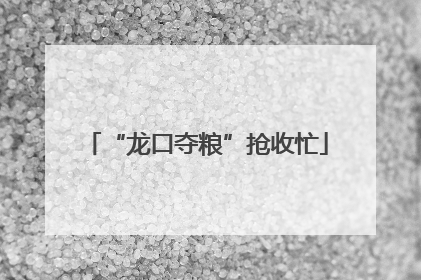 “龙口夺粮”抢收忙