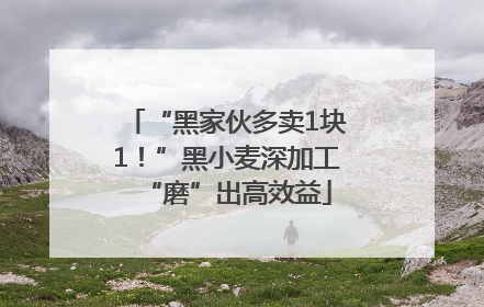 “黑家伙多卖1块1！”黑小麦深加工“磨”出高效益
