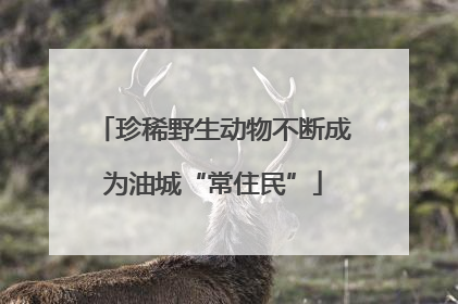 珍稀野生动物不断成为油城“常住民”