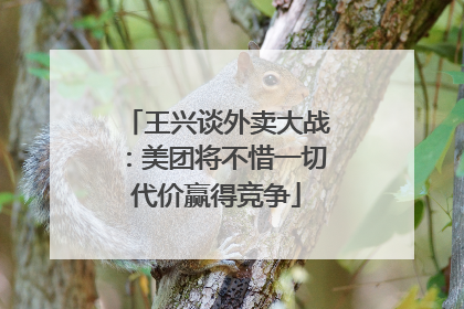 王兴谈外卖大战：美团将不惜一切代价赢得竞争