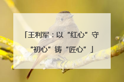 王利军：以“红心”守“初心”铸“匠心”