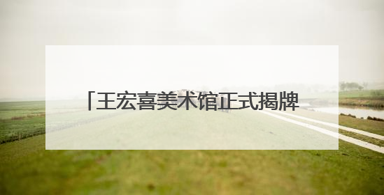 王宏喜美术馆正式揭牌！153 件艺术珍品 “ 回归 ” 连云港，并向市民免费开放