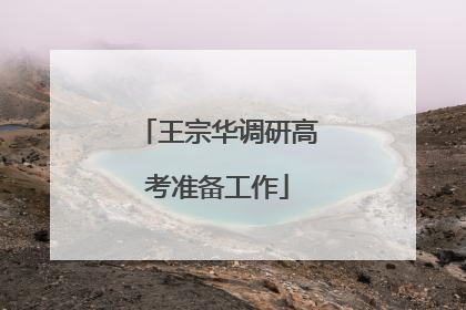 王宗华调研高考准备工作