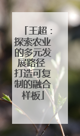 王超：探索农业的多元发展路径 打造可复制的融合样板