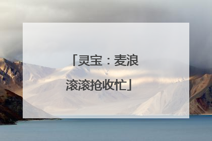 灵宝：麦浪滚滚抢收忙