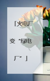 火电厂变“绿电厂”