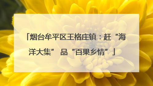 烟台牟平区王格庄镇：赶“海洋大集” 品“百果乡情”